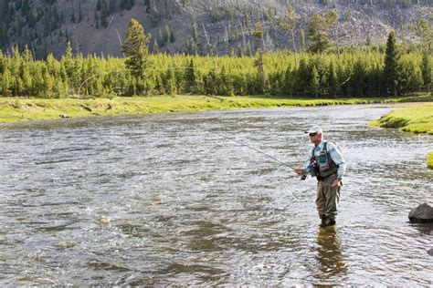 yellowstone fishing permit|nys parks night fishing permit.